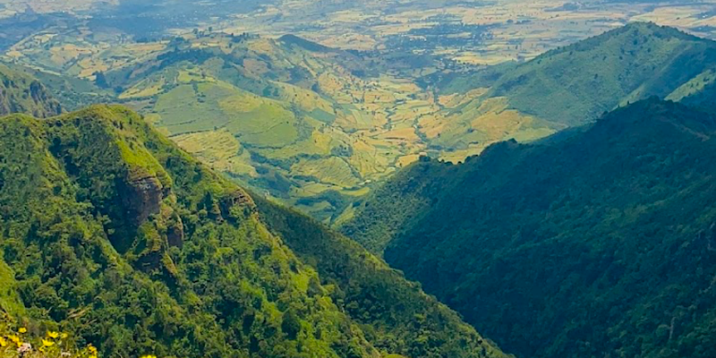 Yerer Mountain Day Trip from Addis Ababa | Private Hiking Tour