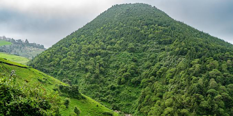 Menagesha-Suba Forest Day Trip from Addis Ababa | Hiking, Birdwatching & Nature Tour